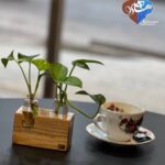 استند گیاه شیشه ای و ماهرو
